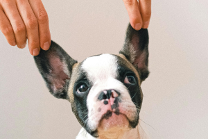 Sinais de emergência